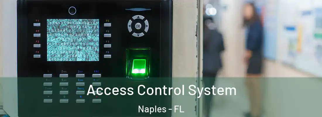 Access Control System Naples - FL