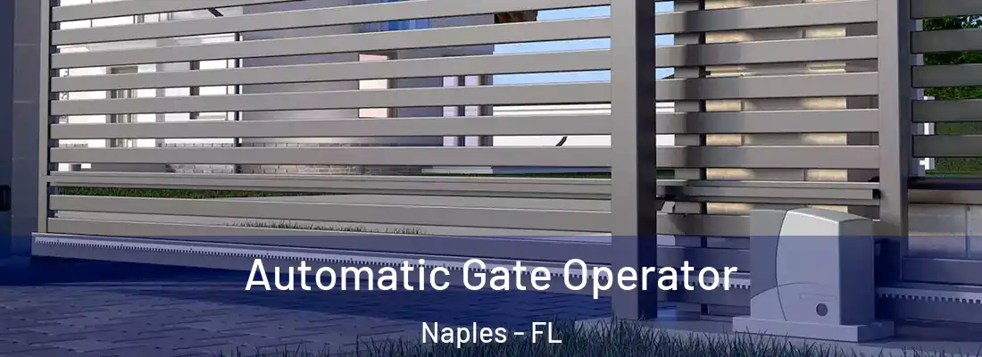 Automatic Gate Operator Naples - FL