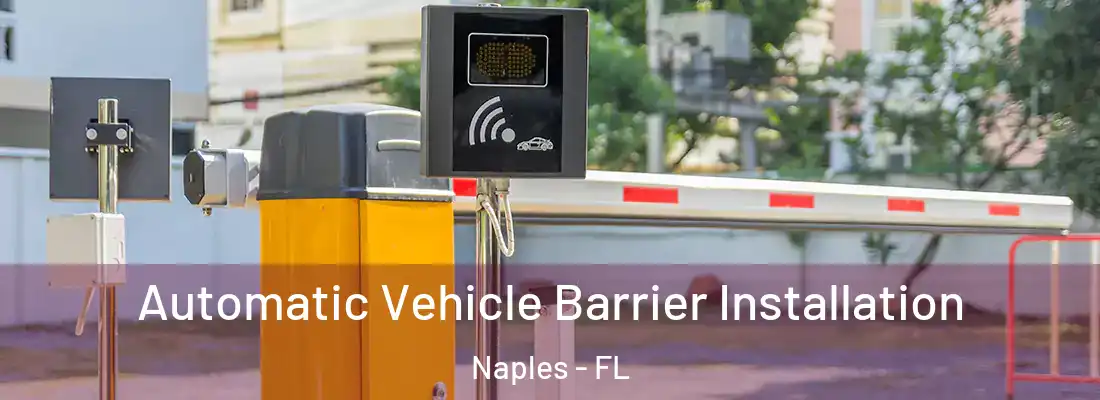 Automatic Vehicle Barrier Installation Naples - FL