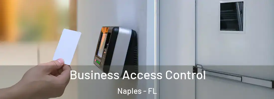 Business Access Control Naples - FL