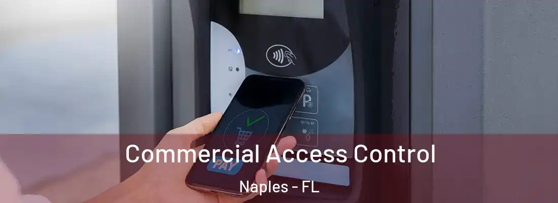 Commercial Access Control Naples - FL