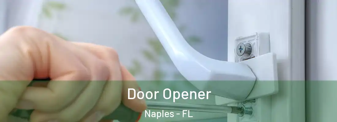  Door Opener Naples - FL