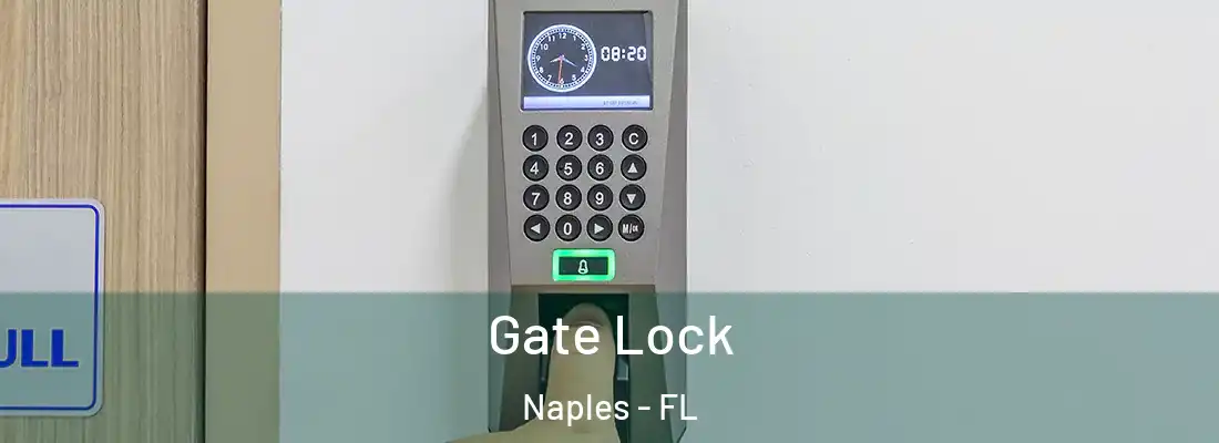 Gate Lock Naples - FL
