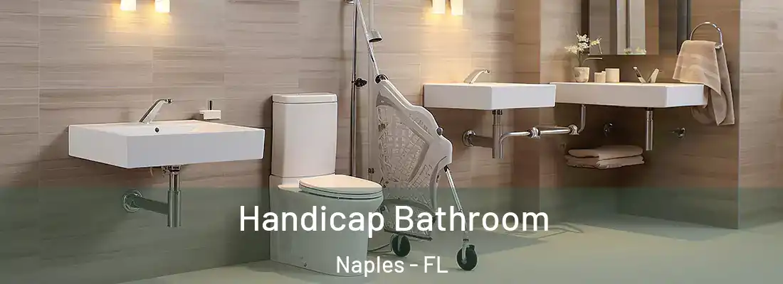  Handicap Bathroom Naples - FL