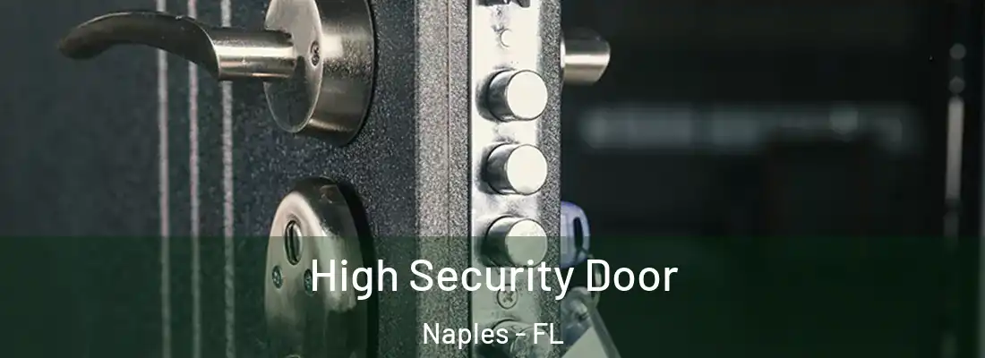  High Security Door Naples - FL