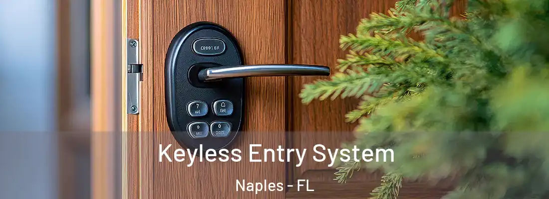 Keyless Entry System Naples - FL