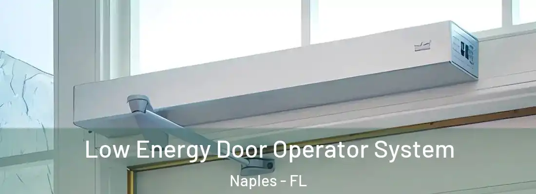 Low Energy Door Operator System Naples - FL