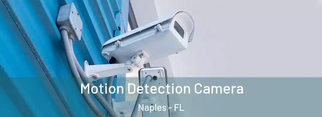 Motion Detection Camera Naples - FL