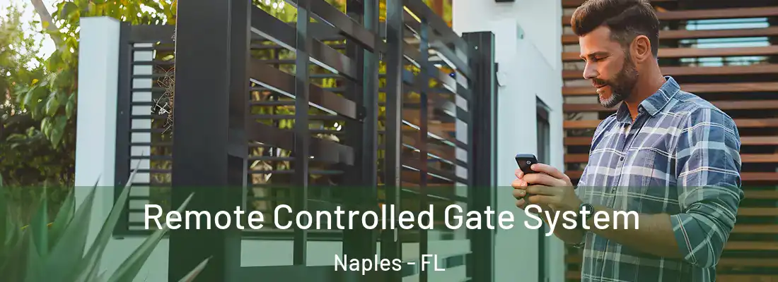 Remote Controlled Gate System Naples - FL