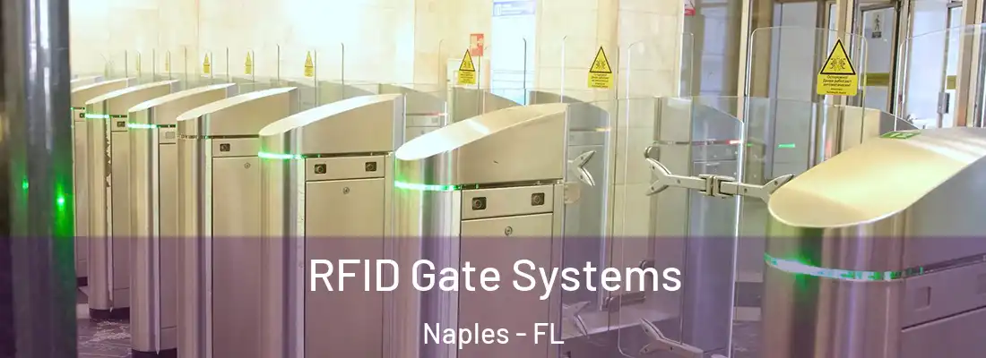 RFID Gate Systems Naples - FL