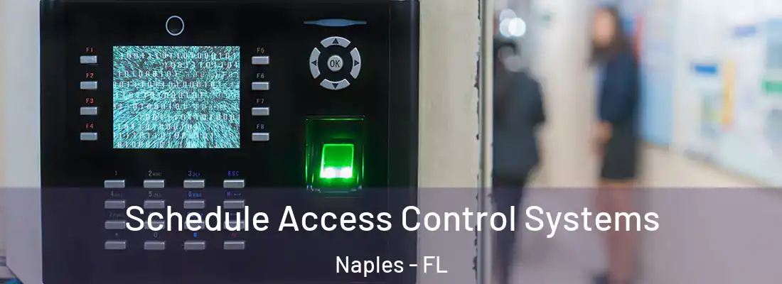 Schedule Access Control Systems Naples - FL