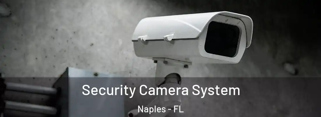 Security Camera System Naples - FL