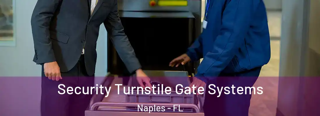 Security Turnstile Gate Systems Naples - FL